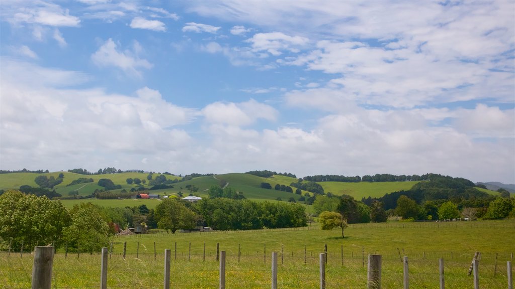 Mangawhai Heads showing tranquil scenes and landscape views