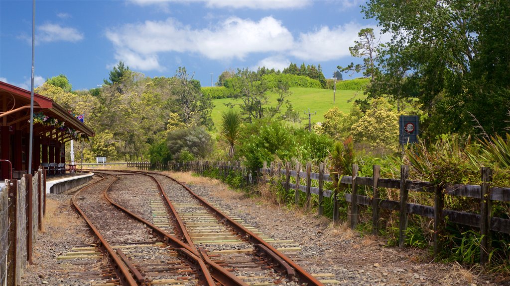 Hauraki Rail Trail - Day Rides mostrando itens de ferrovia