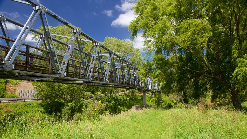 Hauraki Rail Trail - Day Rides showing a bridge and tranquil scenes