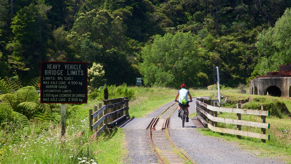 Hauraki Rail Trail - Day Rides showing signage, cycling and tranquil scenes