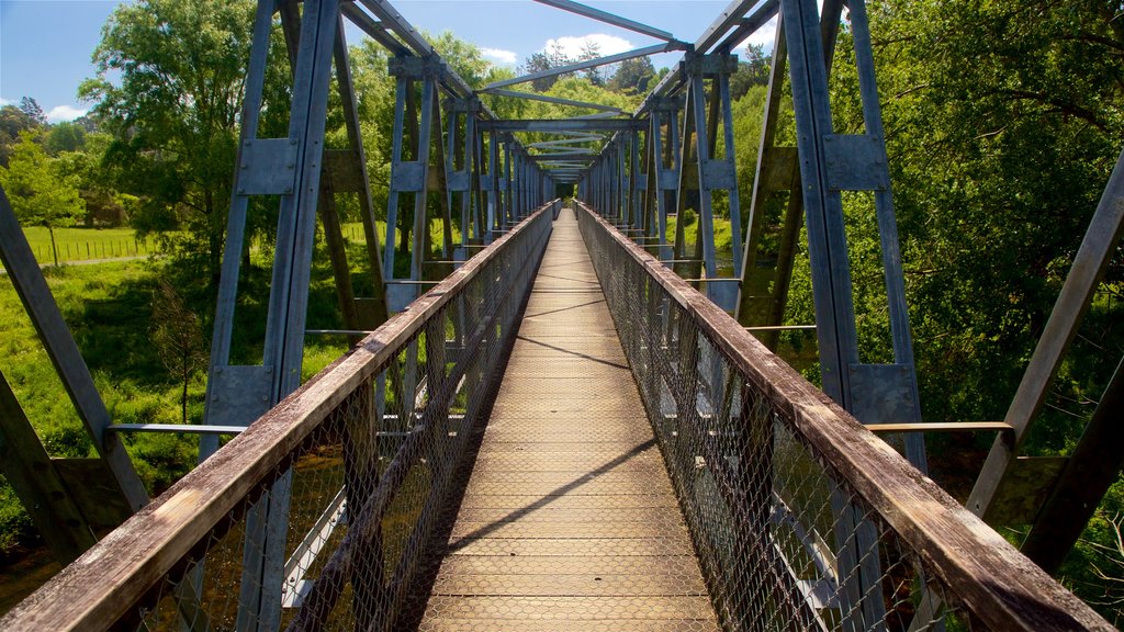 Hauraki Rail Trail - Day Rides showing a bridge