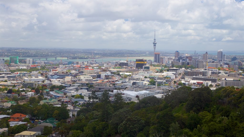 Mt. Eden mostrando vista panorámica, una ciudad y un edificio alto