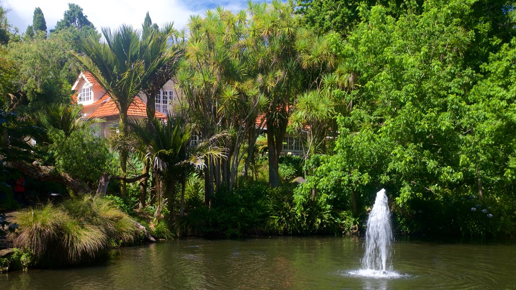 Auckland Domain mostrando una fuente, un parque y un estanque