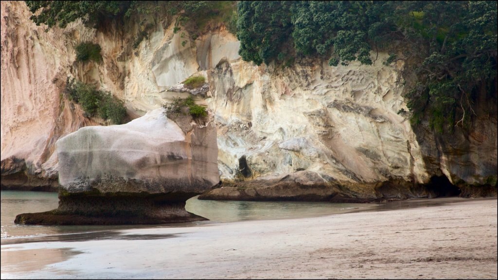 Cathedral Cove Beach which includes a sandy beach and rocky coastline