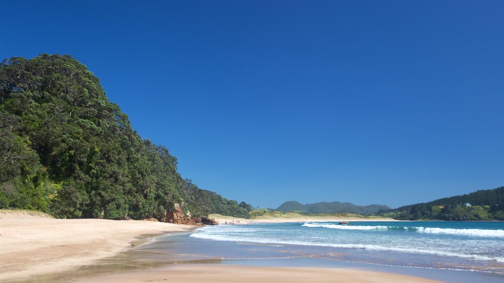 Hot Water Beach que inclui paisagens litorâneas e uma praia de areia