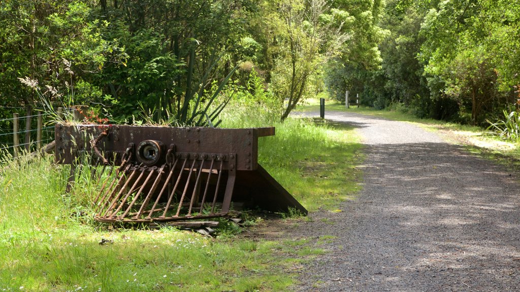 Hauraki Rail Trail - Day Rides que incluye escenas tranquilas y elementos patrimoniales