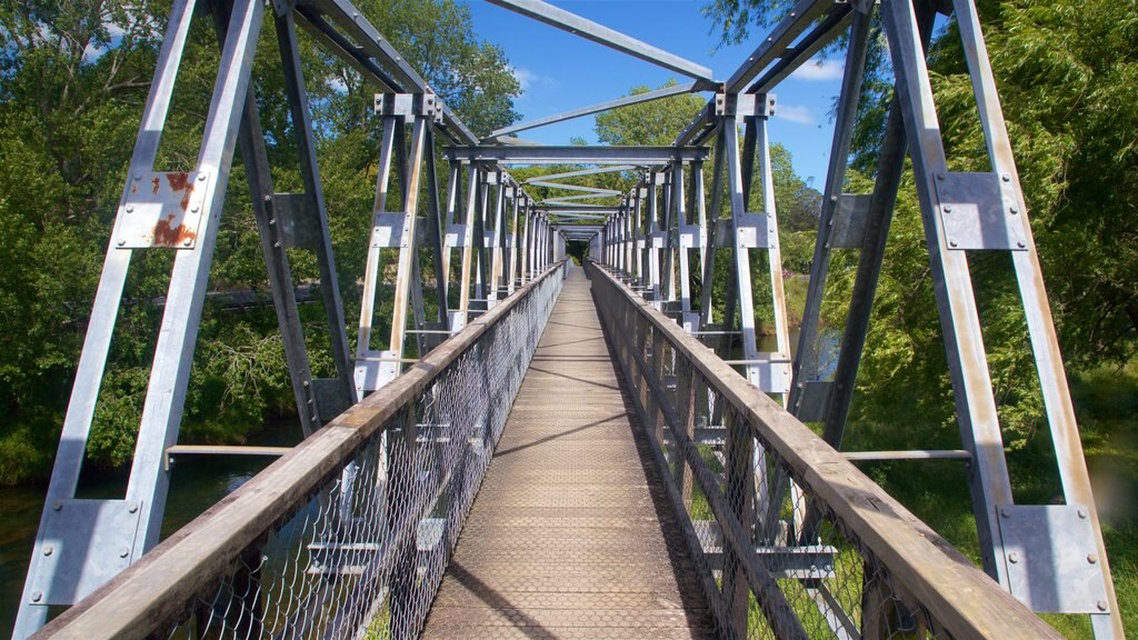 Hauraki Rail Trail - Day Rides mostrando uma ponte