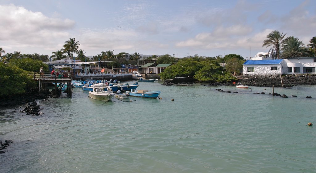 Santa Cruz Island showing a bay or harbor