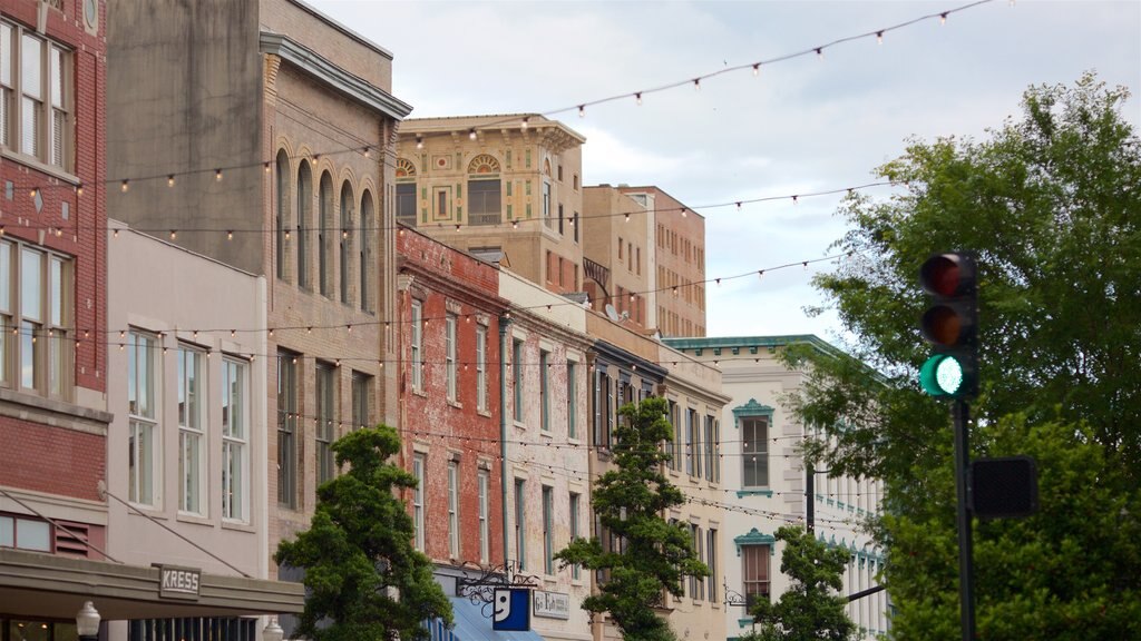 Savannah featuring a city and heritage elements