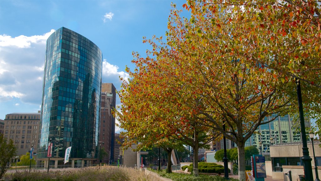 Hartford showing a garden, autumn colours and a city