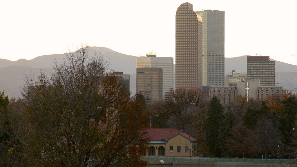 City Park showing a skyscraper and a city