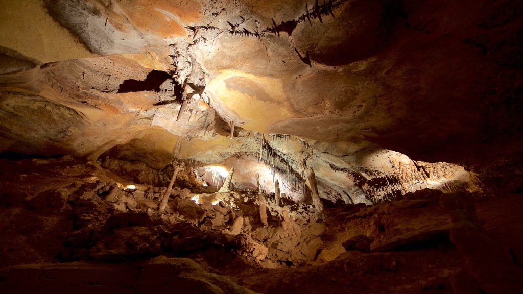 Cueva Cave of the Winds que incluye cuevas