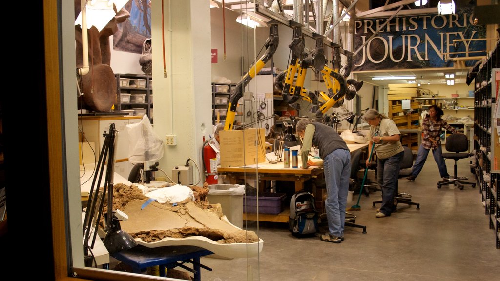 Denver Museum of Nature and Science featuring interior views as well as a small group of people