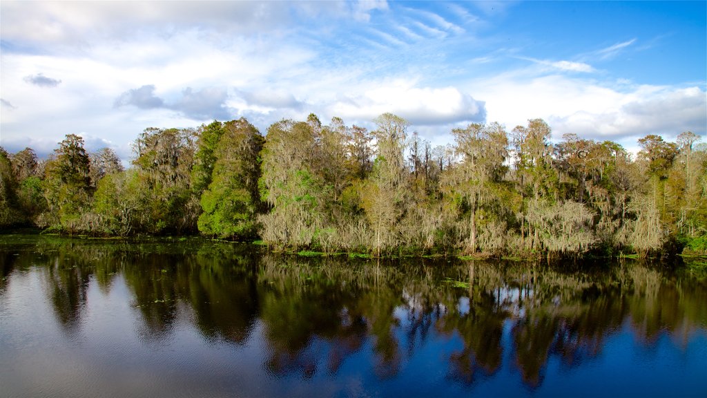 Lettuce Lake Park which includes a lake or waterhole and wetlands