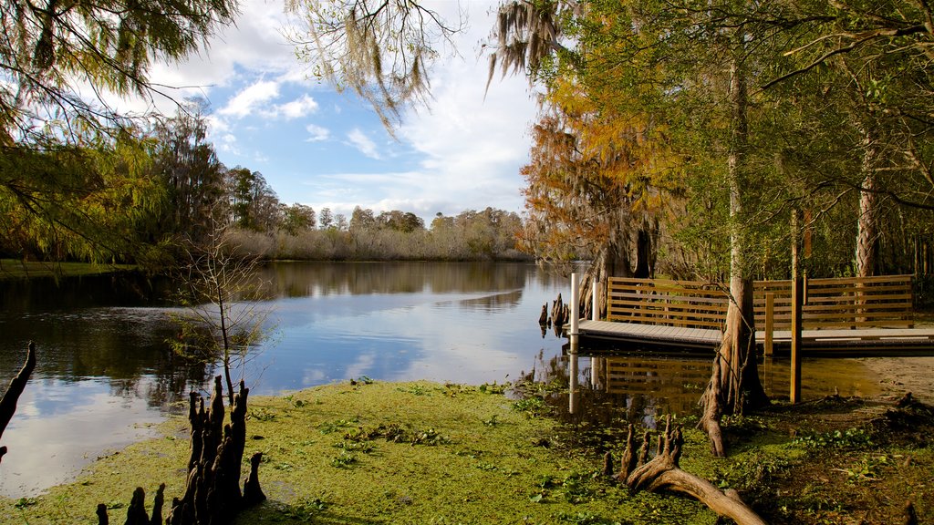 Lettuce Lake Park which includes a lake or waterhole and wetlands