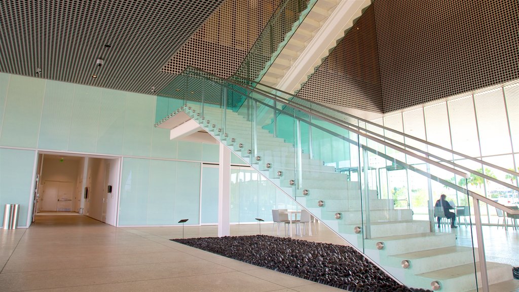 Tampa Museum of Art featuring interior views