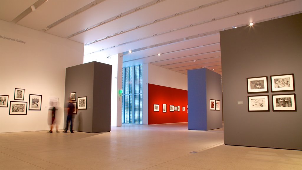 Kunstmuseum van Tampa toont kunst en interieur