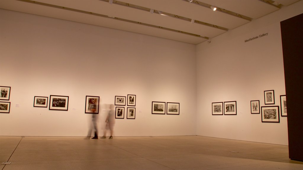 Tampa Museum of Art featuring interior views and art