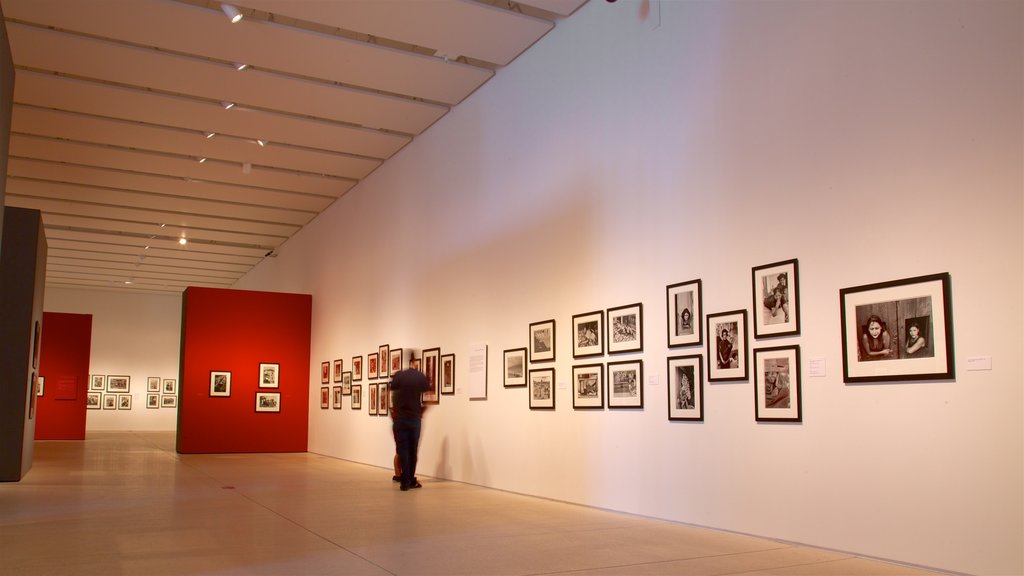 Tampa Museum of Art showing interior views and art