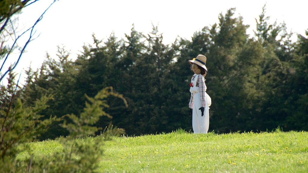 Overland Park Arboretum and Botanical Gardens qui includes un parc