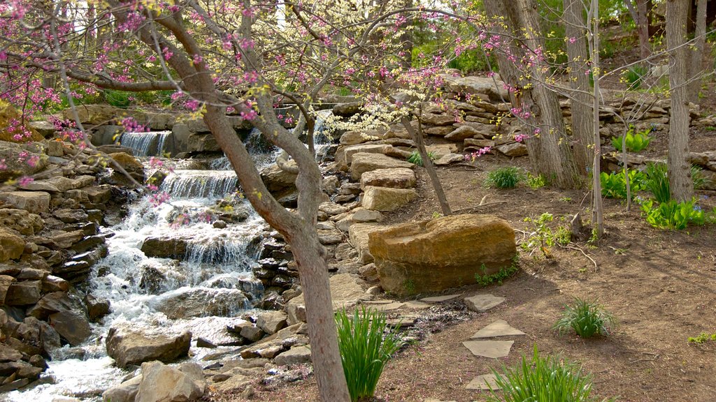 Overland Park Arboret og Botaniske Have og byder på vilde blomster og en flod eller et vandløb