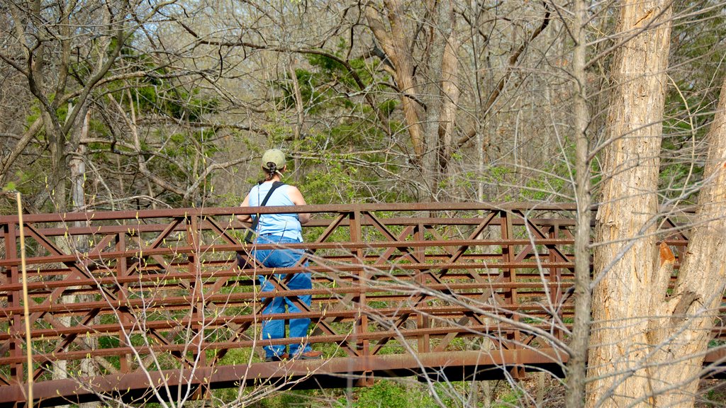 Overland Park Arboretum and Botanical Gardens mostrando bosques y un puente y también una mujer