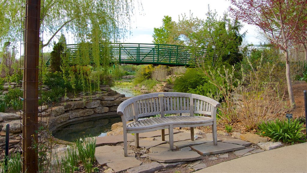 Overland Park Arboretum and Botanical Gardens mostrando un parque, un río o arroyo y un puente