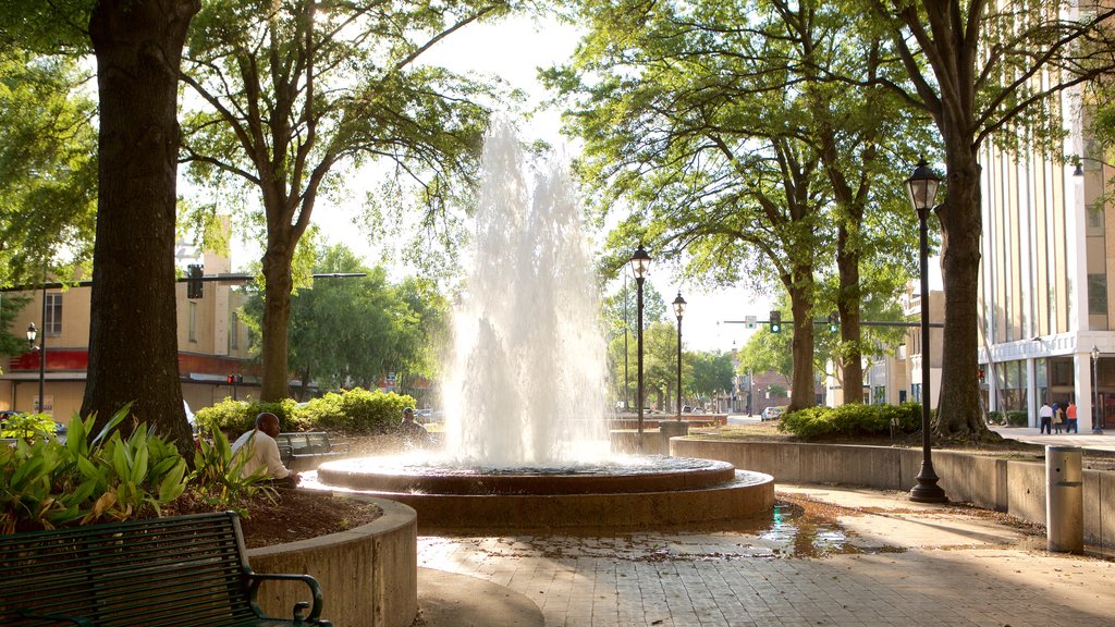 Augusta featuring a garden and a fountain