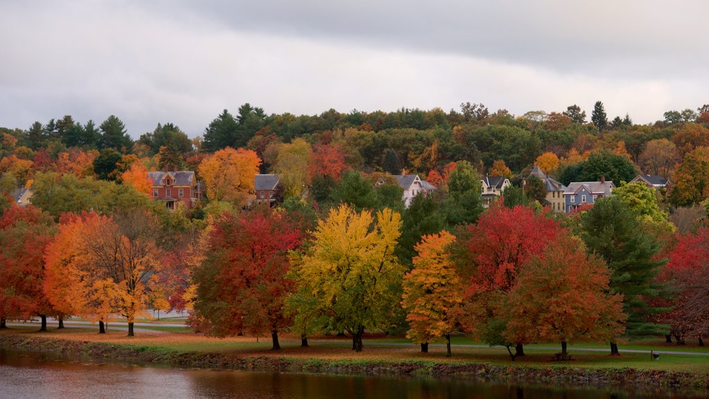 Turners Falls mostrando parco, colori d\'autunno e fiume o ruscello