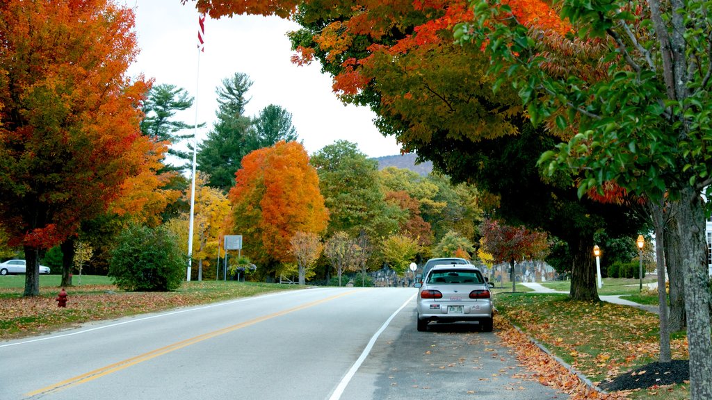 Hancock qui includes un parc et couleurs d’automne