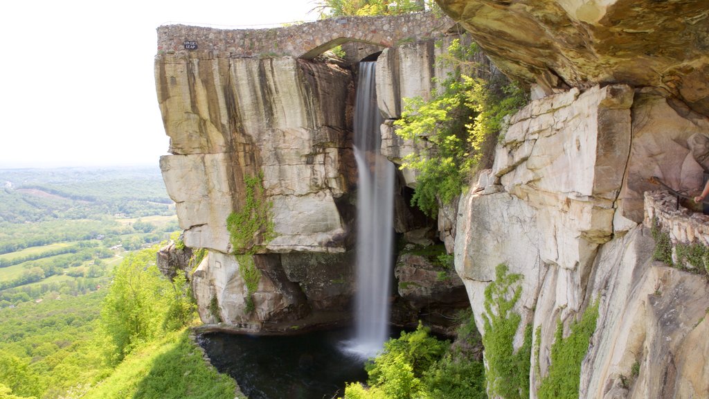 Lookout Mountain which includes a waterfall, a gorge or canyon and tranquil scenes