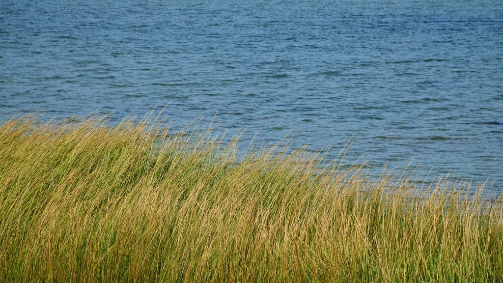 West Dennis Beach montrant une rivière ou un ruisseau