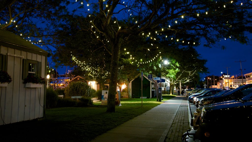 Hyannis Harbor showing night scenes