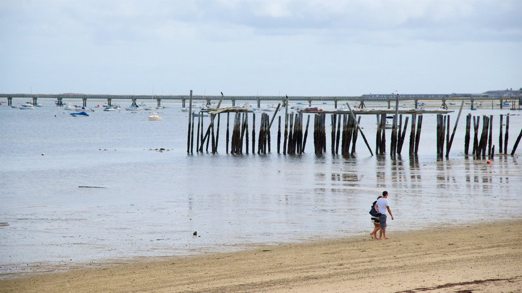 MacMillan Pier showing general coastal views and a beach