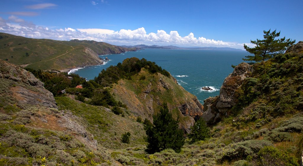 Muir Beach som omfatter klippekystlinje og udsigt over kystområde