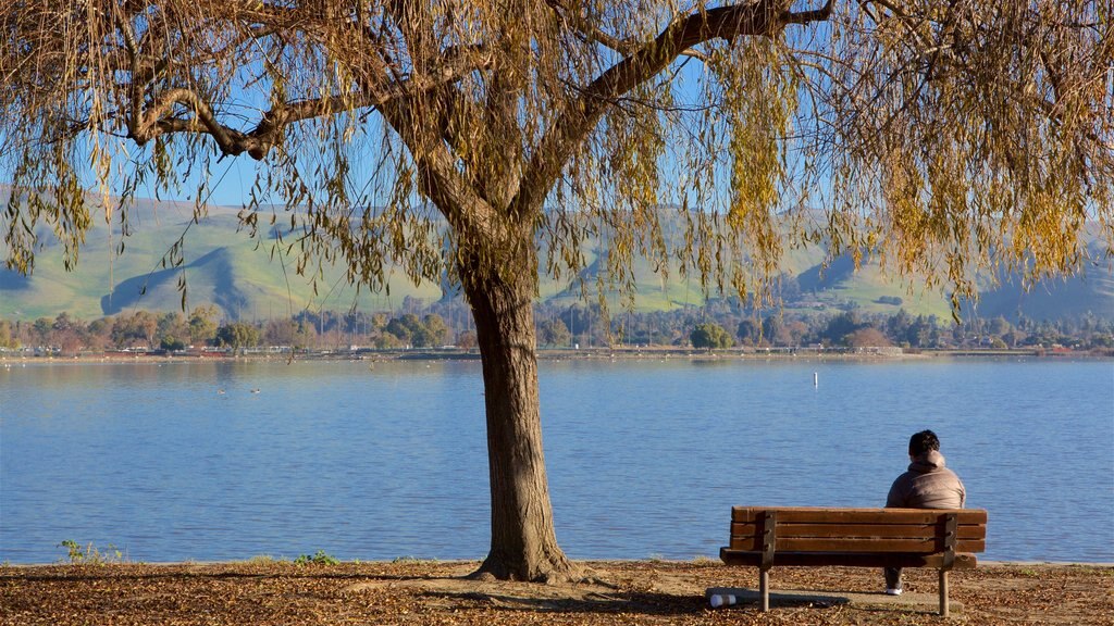 Fremont Central Park featuring a garden and a lake or waterhole as well as an individual male