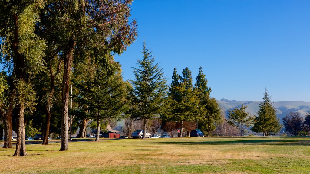 Fremont Central Park showing a garden