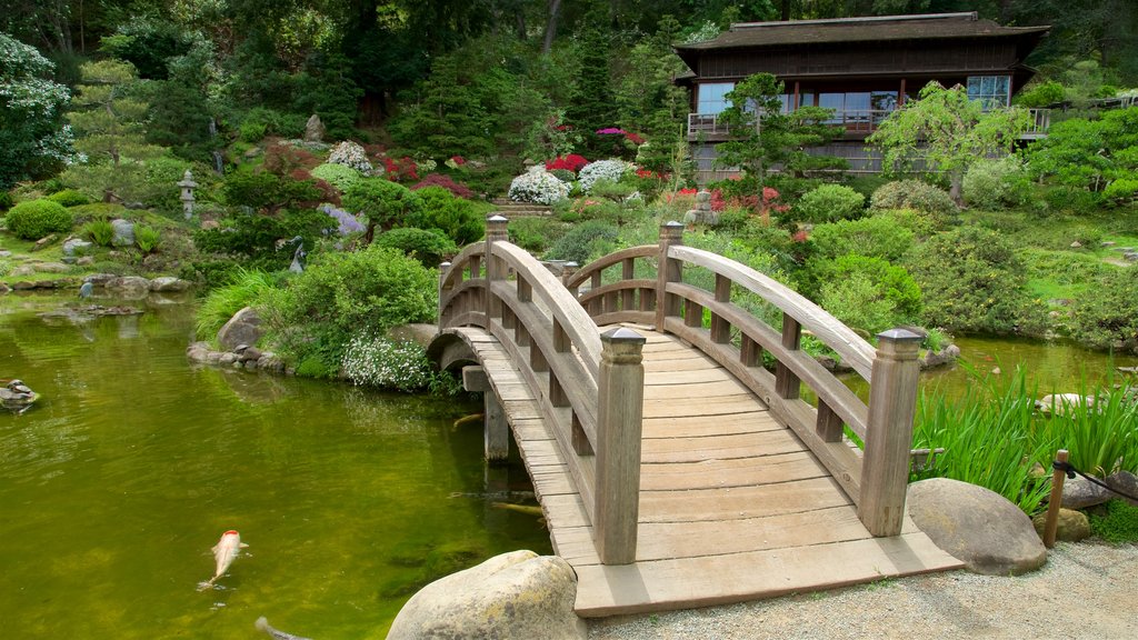 Hakone Gardens showing wild flowers, a river or creek and a bridge