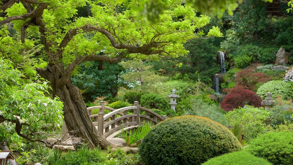 Hakone Gardens featuring a garden and a bridge