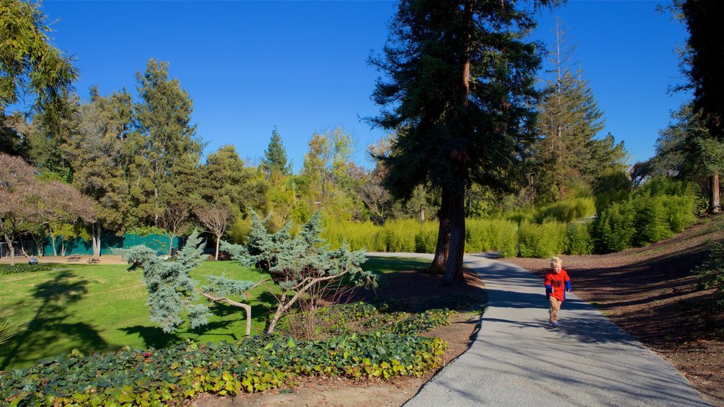 Happy Hollow Park and Zoo showing a park as well as an individual child