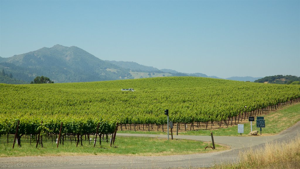 Trem do Vinho do Vale de Napa que inclui cenas tranquilas e paisagem