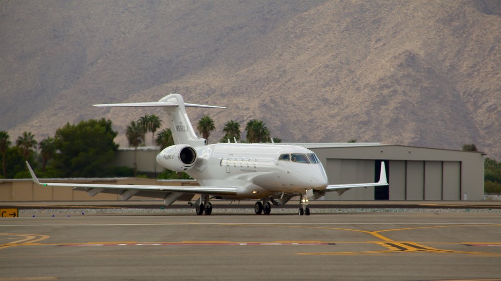 Palm Springs Air Museum showing an airport