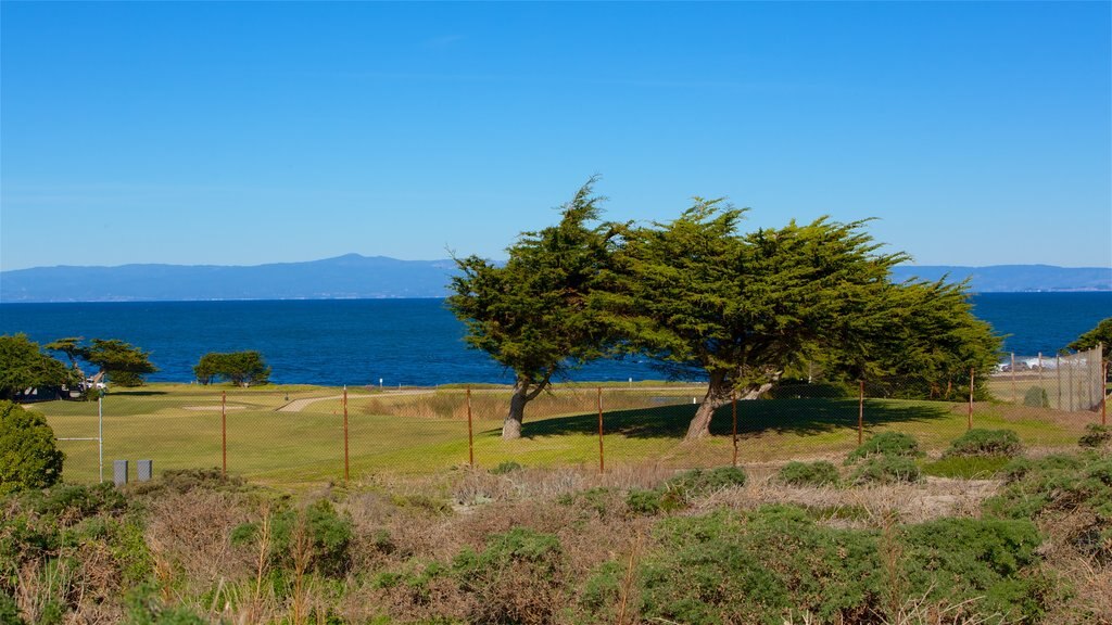 Point Pinos Lighthouse showing a park and general coastal views