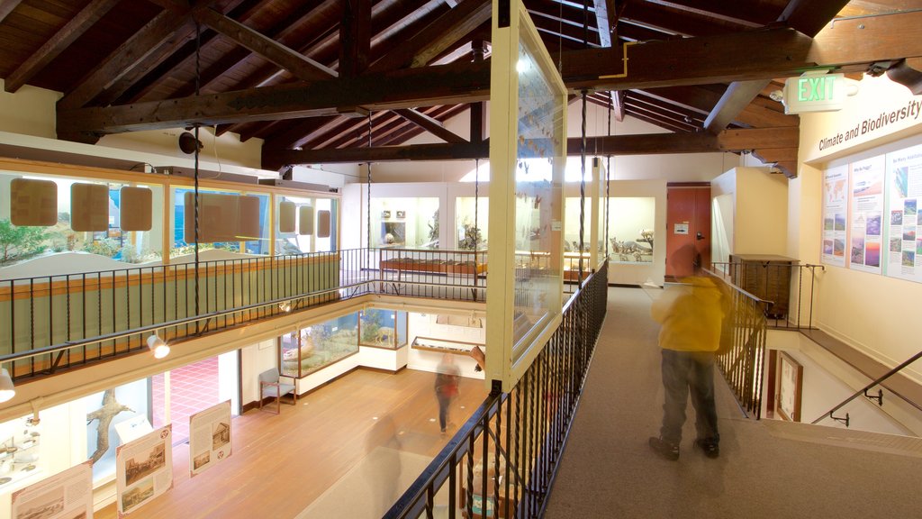 Pacific Grove Museum of Natural History which includes interior views