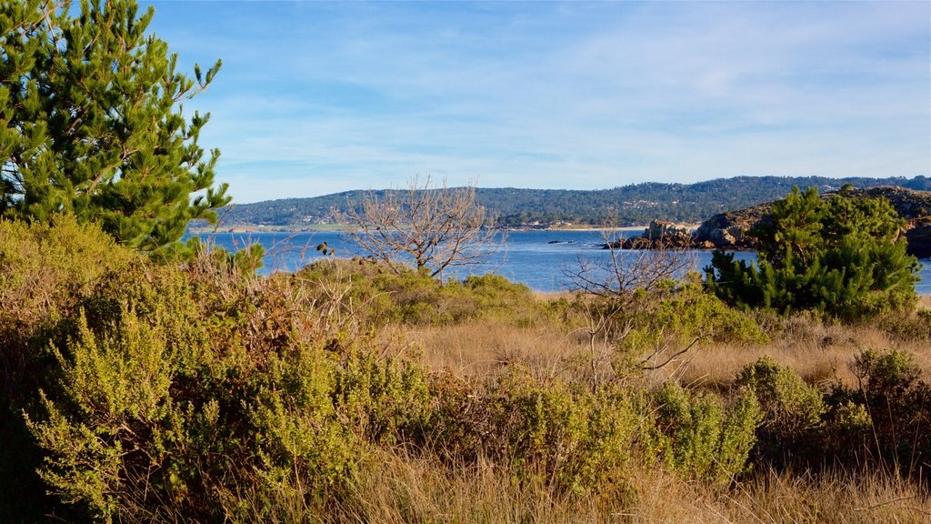 Point Lobos State Reserve fasiliteter samt kyst og stenete kystlinje