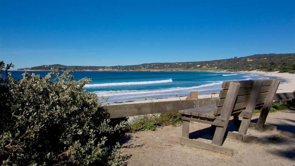 Carmel Beach which includes general coastal views and a sandy beach