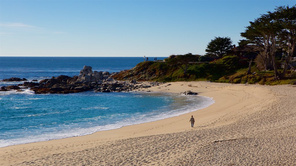 Playa Carmel que incluye costa rocosa, una playa de arena y vista general a la costa