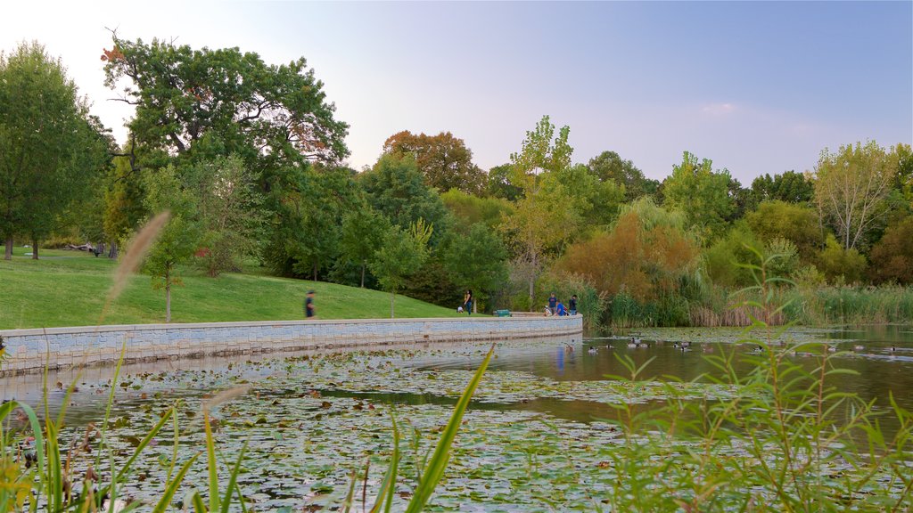 Patterson Park que incluye un estanque, un atardecer y jardín