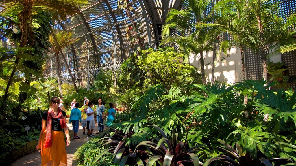 San Diego que incluye jardín y vista interna y también una mujer