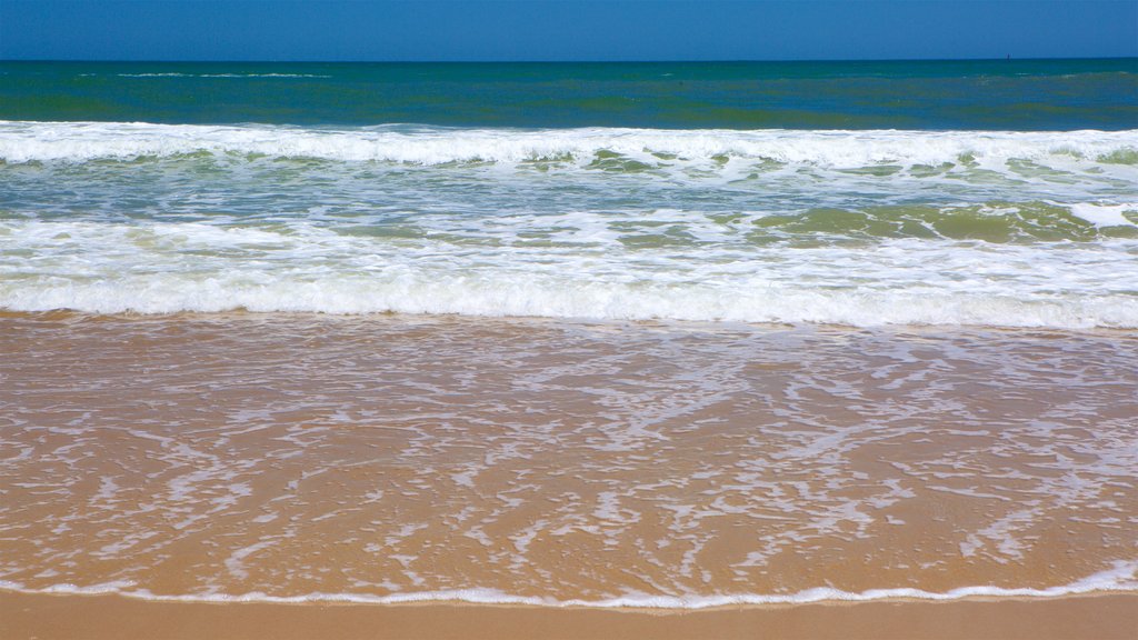 Ocean City Beach som visar en strand och kustutsikter